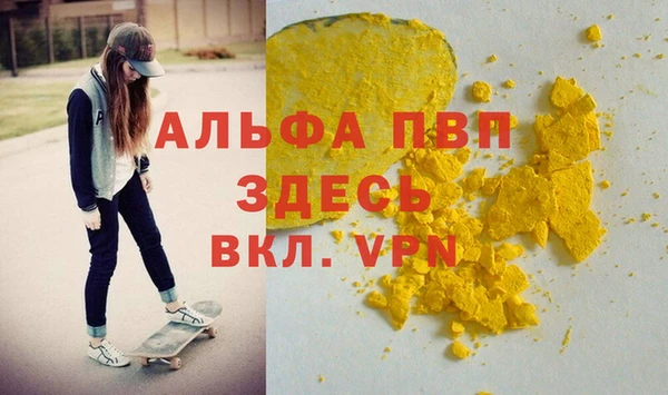 PSILOCYBIN Богородицк