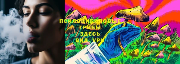 шишки Богданович