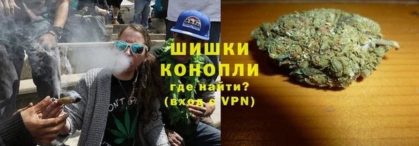 PSILOCYBIN Богородицк