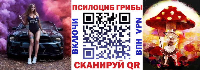 Псилоцибиновые грибы Magic Shrooms  KRAKEN сайт  Мещовск  где купить наркоту 