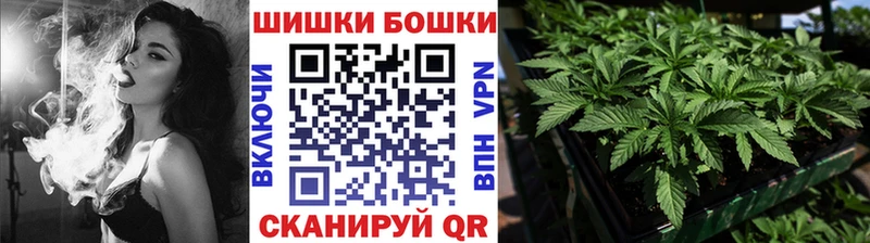 Бошки марихуана Bruce Banner  даркнет сайт  Мещовск 